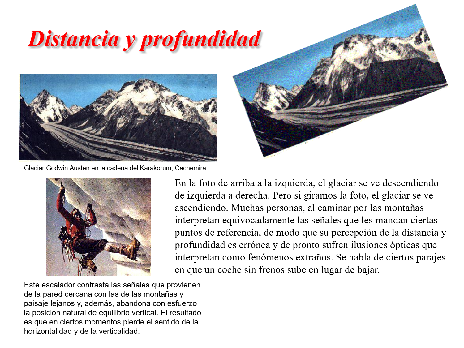 Logotipo de Mosaico